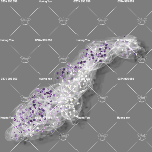 demo dải voan hoa tone tím