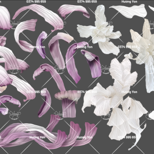 hoa giấy tách lẻ các bộ phận