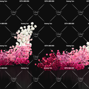 thác hoa hồng omber