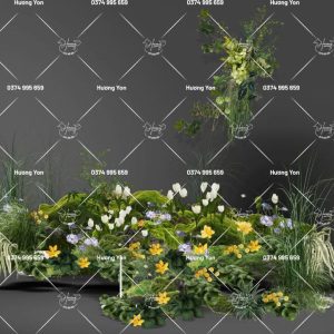 THẢM HOA VÀNG RÊU XANH CHECKIN