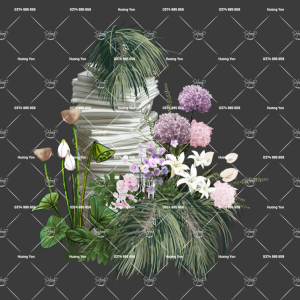 phối cảnh vẽ tay hoa hồng tím