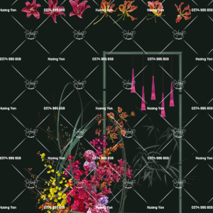 tiểu cảnh phối hoa mix sẵn